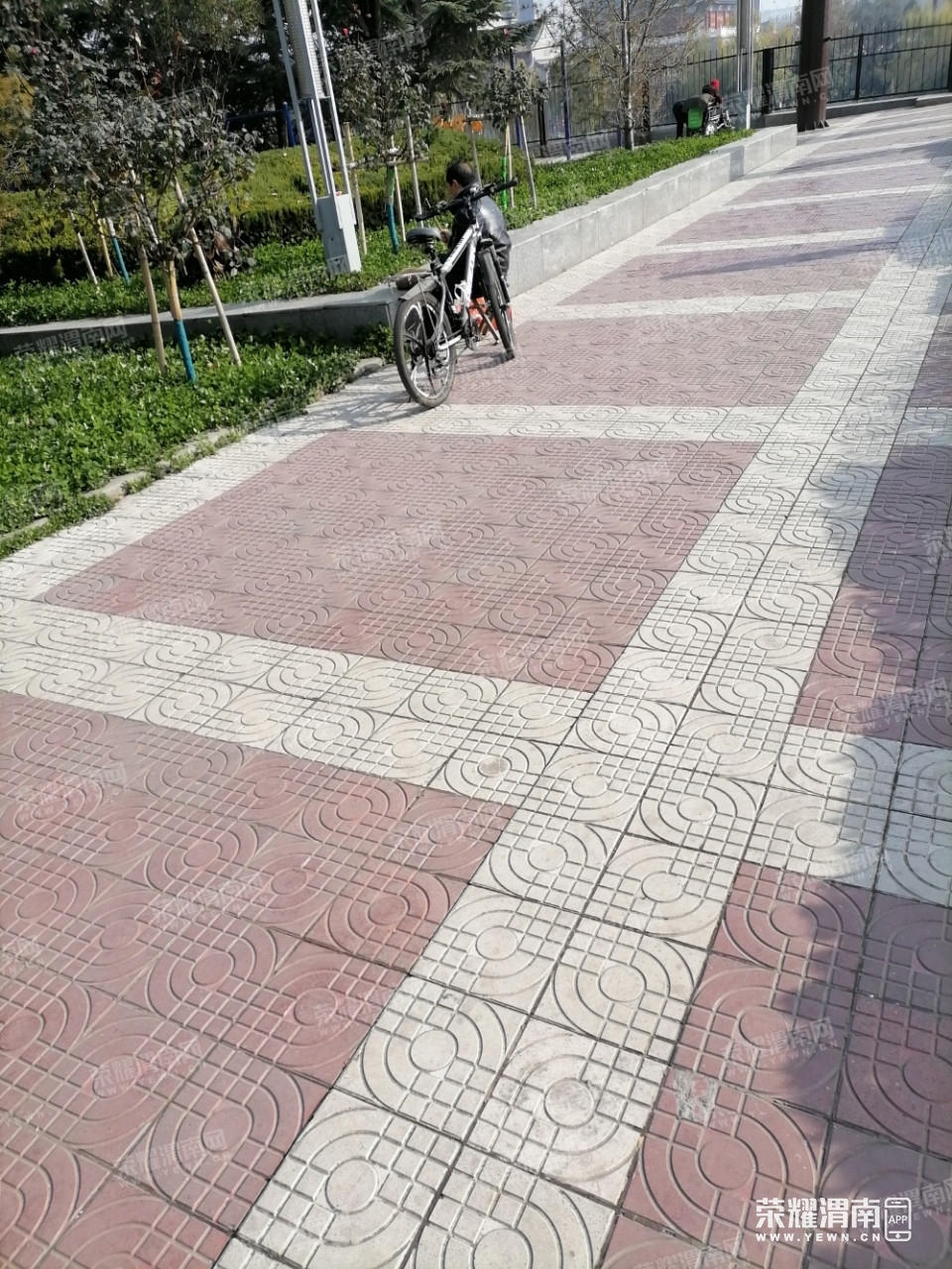 2.jpg
