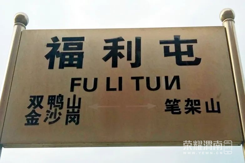 172514ge1znqf1mf2fjfq3.jpg