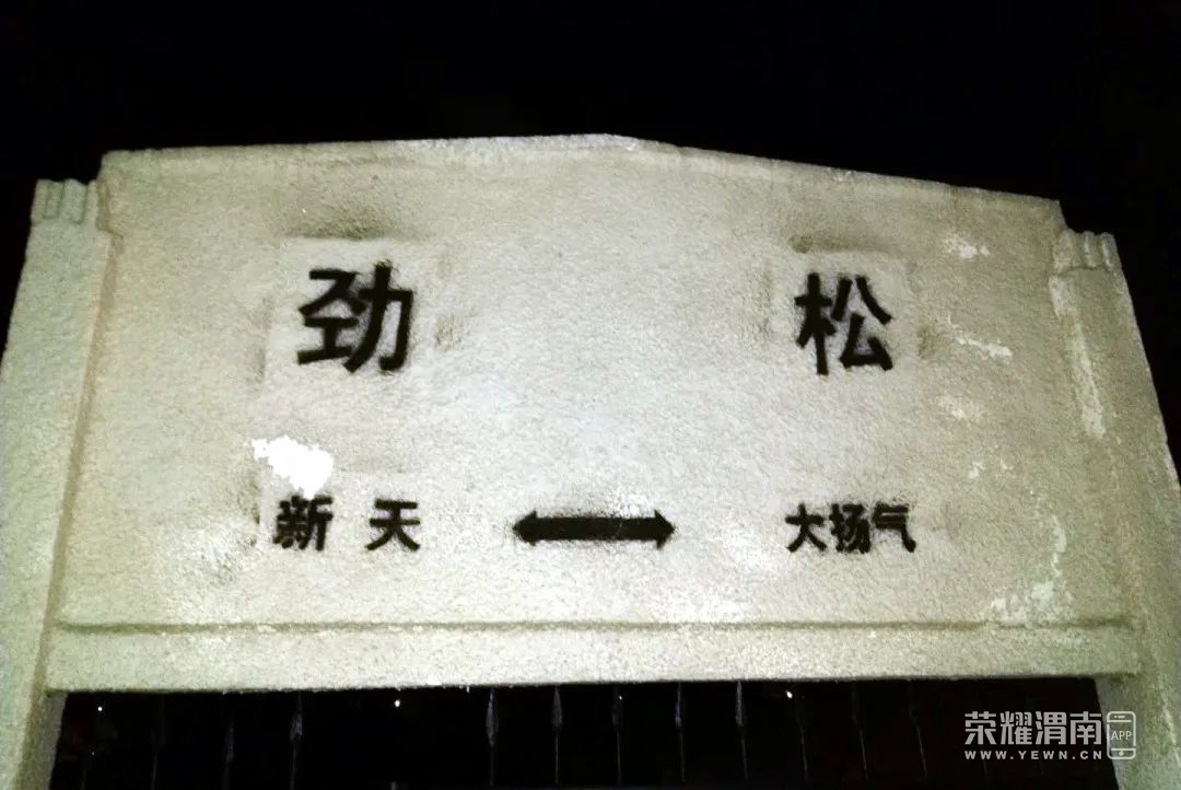 172524nsnzcwz7wszjjmjj.jpg