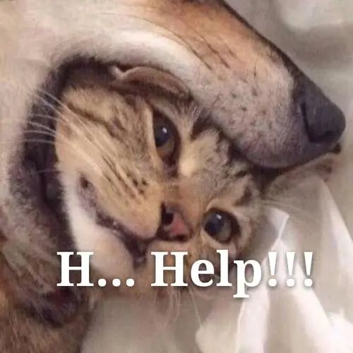 152200enlwrmh29wfhqzwd.jpg