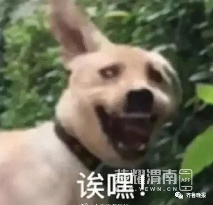 171411dfqjx0m588c83quq.jpg
