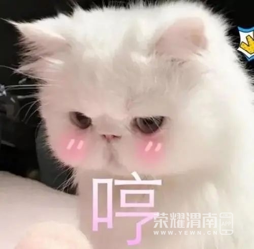151310huo13siit33szq13.jpg
