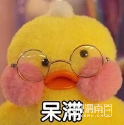 143724y7cufajm7yk4jg8h.jpg