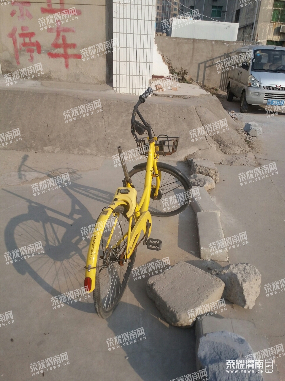 113056vd4q4orzd33djiar.jpg