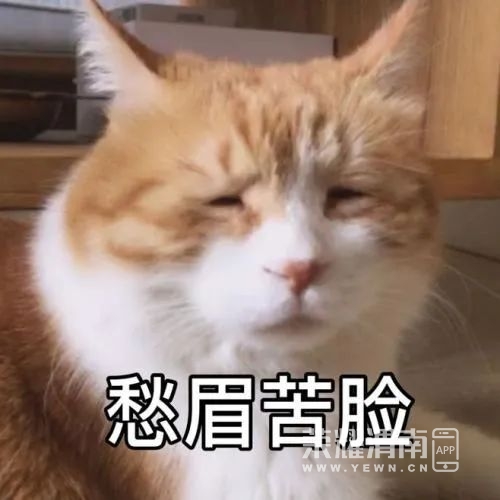 083434pp7jhjjv3i480j38.jpg