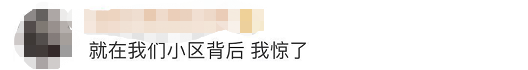 150800k8sf8m3o44cgy4wq.jpg