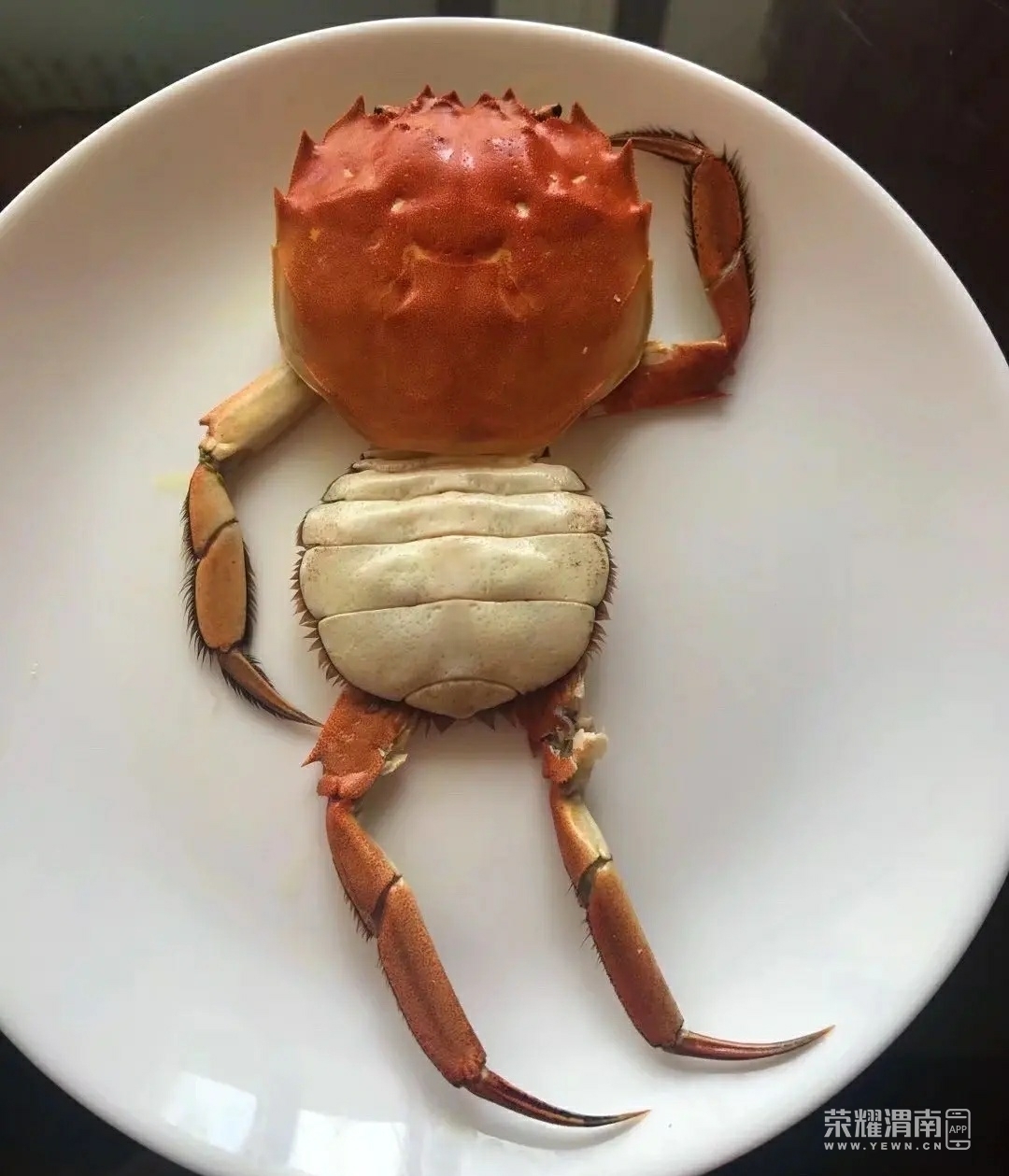小侄女的螃蟹摆盘造型,大家能不能猜到每个是什么故事?