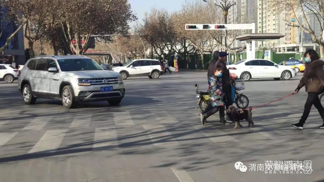 143214gdj41jihtzjhbid8.jpg