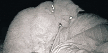 ΢��ͼƬ_20210124135803.gif