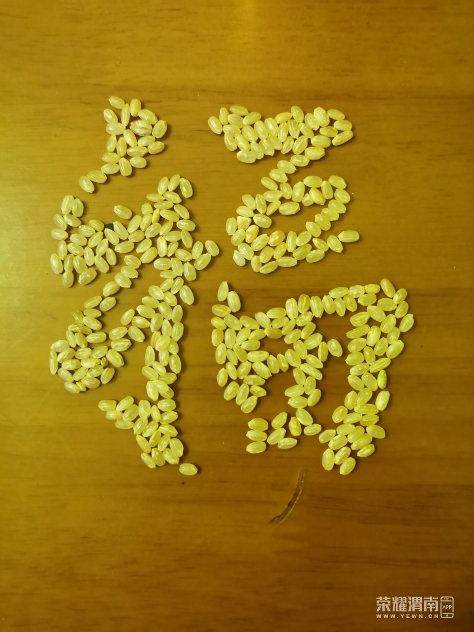 米多福多!看看我在家里自己用米粒拼出的福字,是不是一幅佳作?