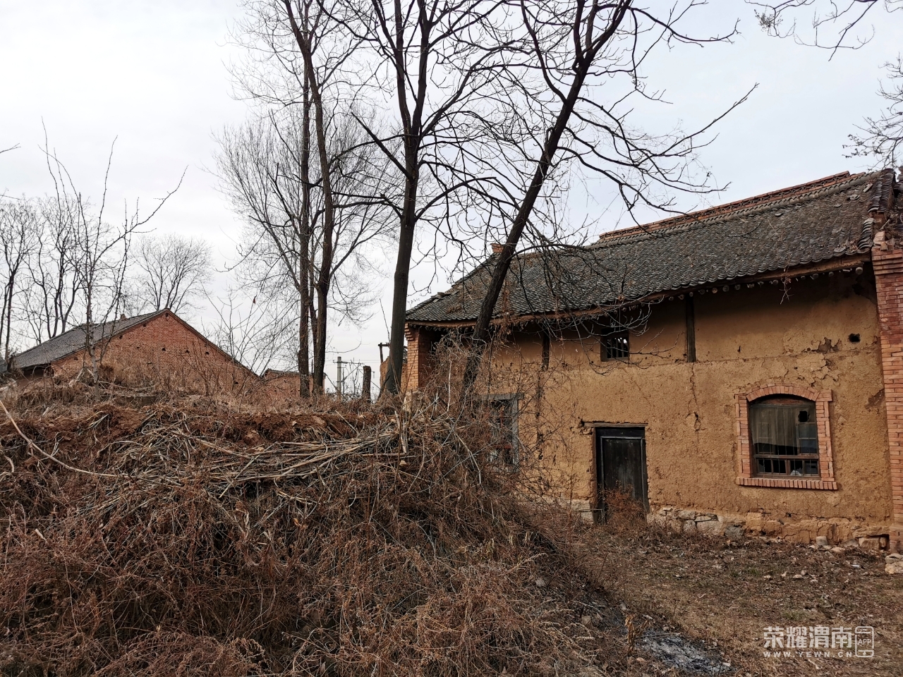 这个村子房子破破烂烂的,然而电线杆和路却特别新
