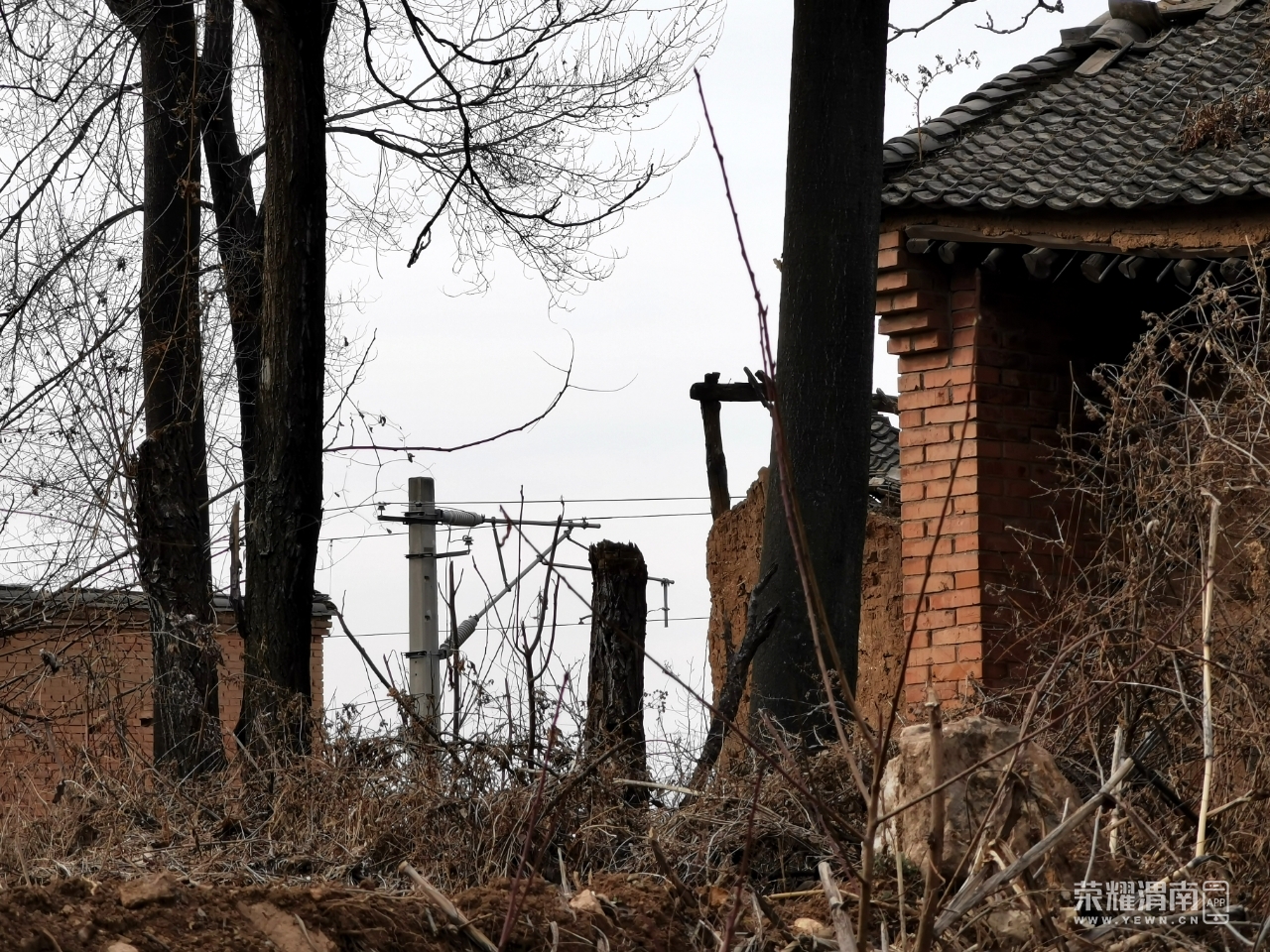 这个村子房子破破烂烂的,然而电线杆和路却特别新