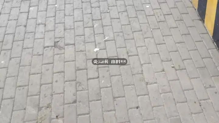 164257stz8gf8ppknynnz2.jpg