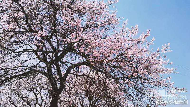 eab2d1681c001c5a5c4d35775fe35f9.jpg