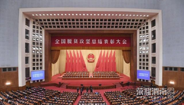 181047e4ydpfhfm4sh4bmv.jpg