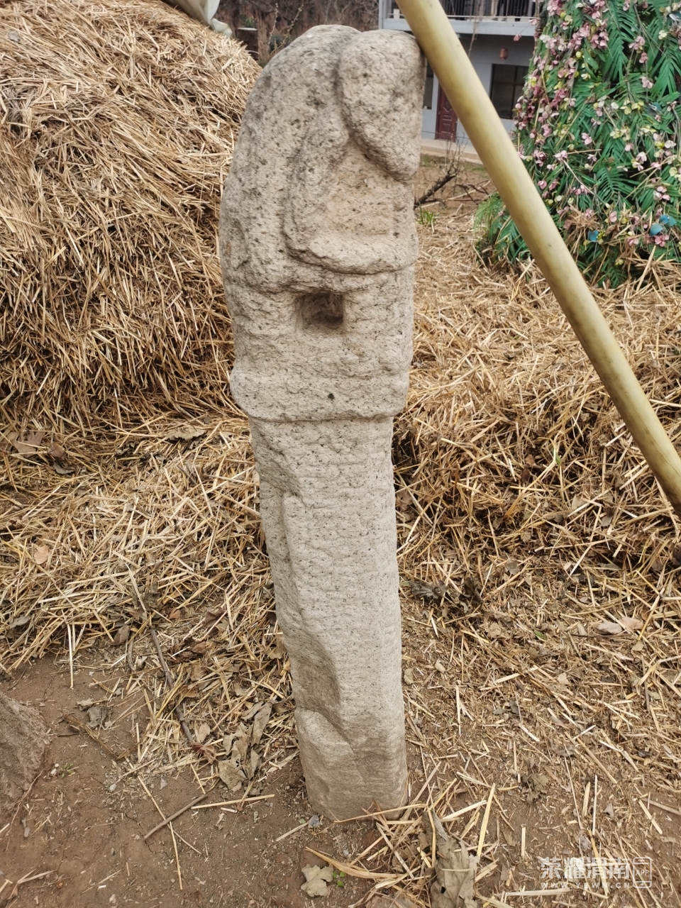 front2_0_Fgk764P8r935jO3t-GRm6egdHbfz.1614859157.jpg