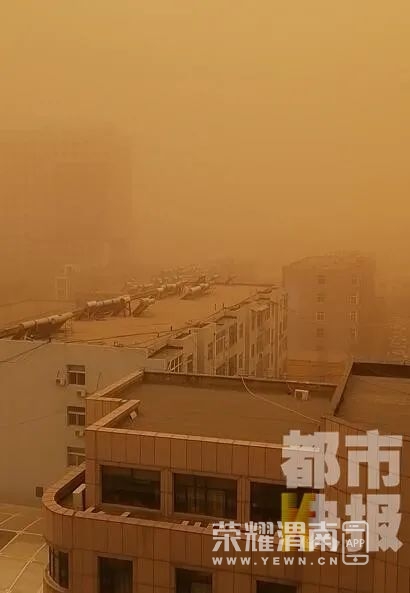 102100y59tt3zjty3z3dds.jpg