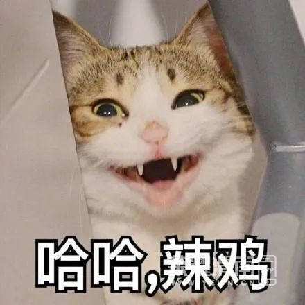 front2_0_FkFJKnviMfusDz_WMjSs-X0rYQBd.1616571074.png
