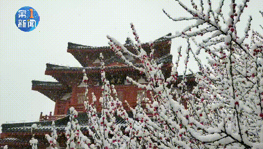 ΢ͼƬ_20210413111006.gif