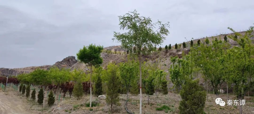 170615tceqgol5bfoqvesb.jpg