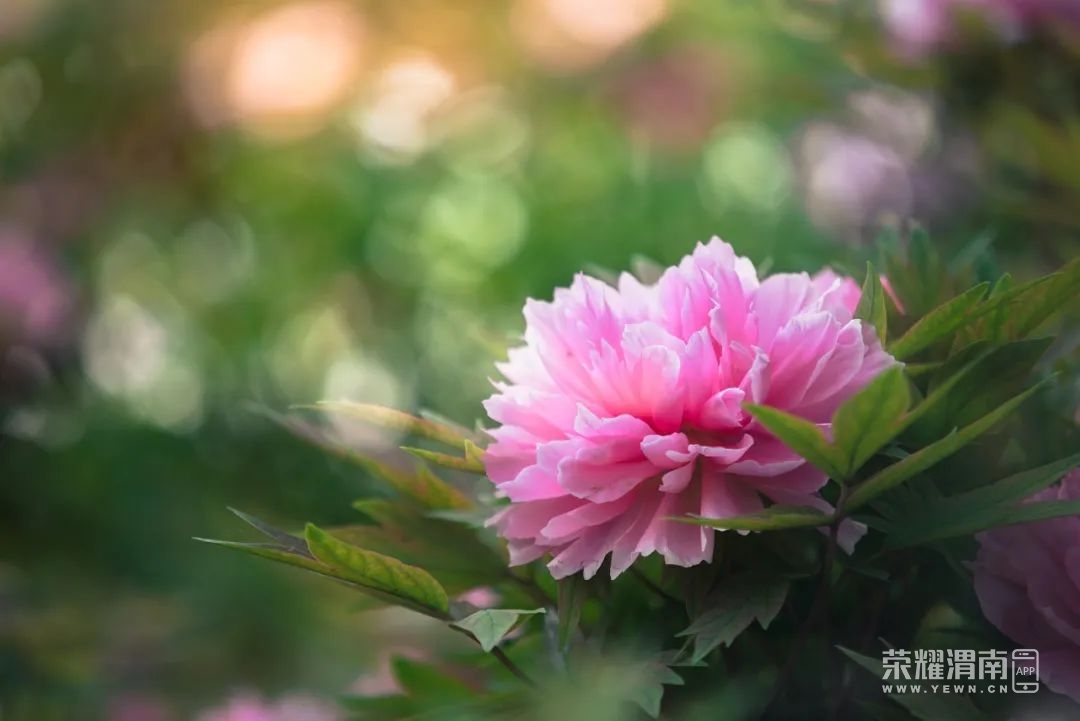102148ooeo41okmmz29kbc.jpg