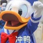 085508znasaggcmf3g4fns.jpg