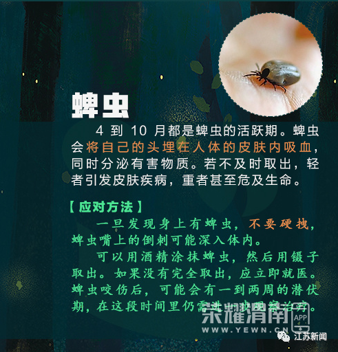 144631ssy79yp0za3qz53z.jpg