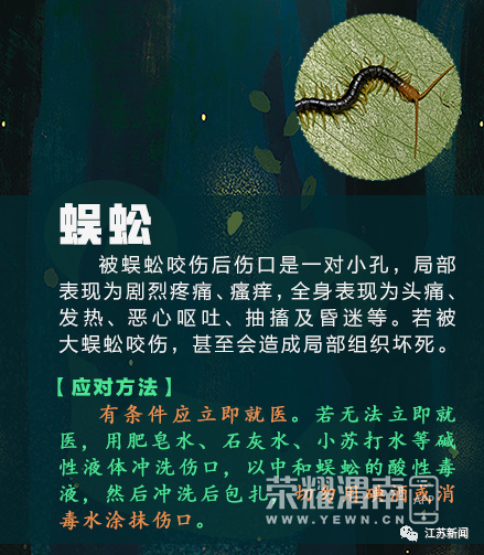 144631dt5w3dwwob8iw3d3.jpg