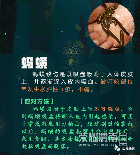 144634tvure5bbp6zvdrff.jpg