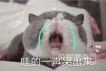 161757mfplgrfxxzz5rq5r.jpg