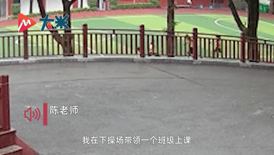 ΢ͼƬ_20210512163420.gif