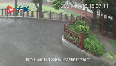 ΢ͼƬ_20210512163448.gif