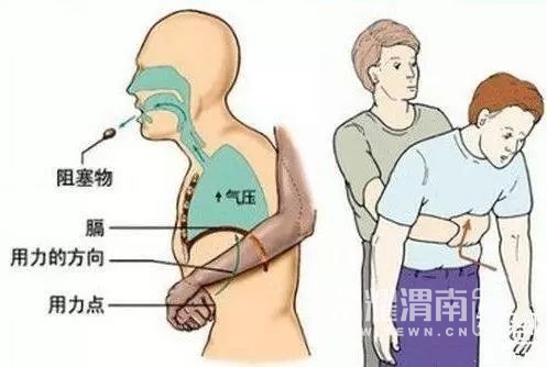 143231d411qav9yjfwl8ra.jpg
