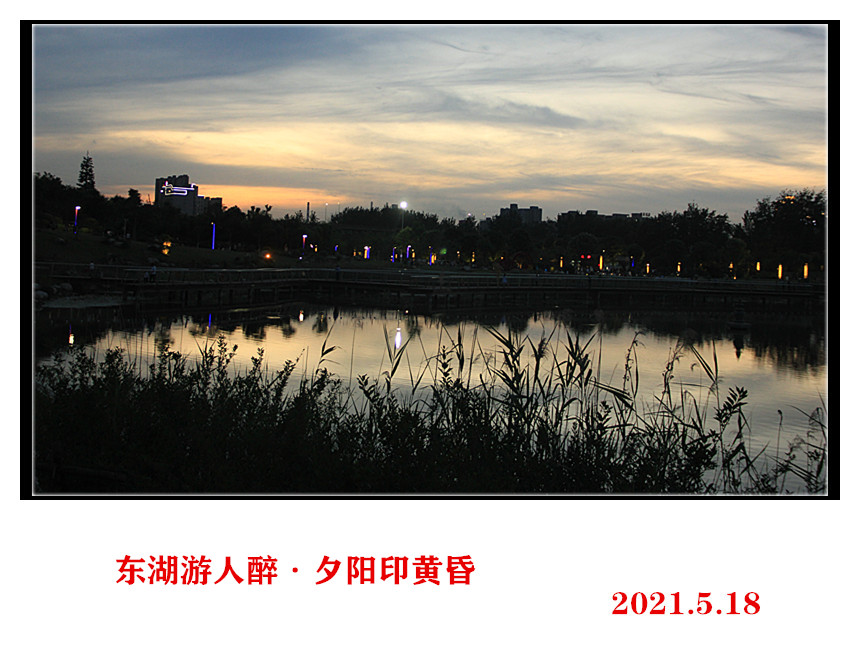 IMG_5773_.jpg