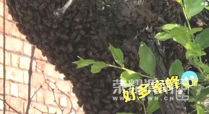 ΢�Ž�ͼ_20210520150035.jpg