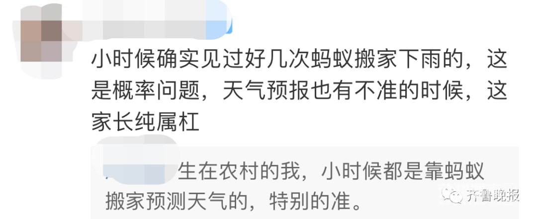 174623mlz2lkf5adxfktns.jpg