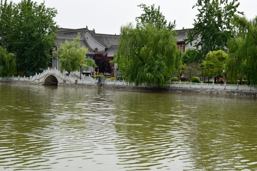 DSC_0132.jpg