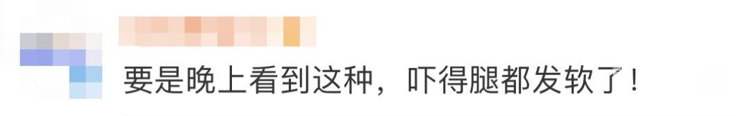 151120vj9ooqj999gxqwa9.jpg
