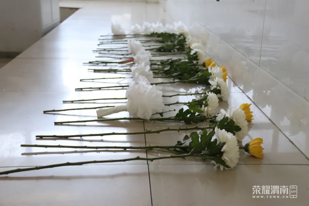 150752zpcppb5s5fyb77tp.jpg