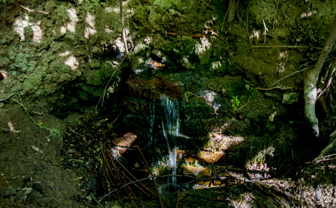 front2_0_FpJP7Z7eGsKJIILSKhWJ1ruuoLW9.1622012775.jpg