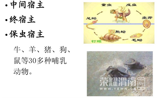 102129sahfrbuv66kscddm.jpg