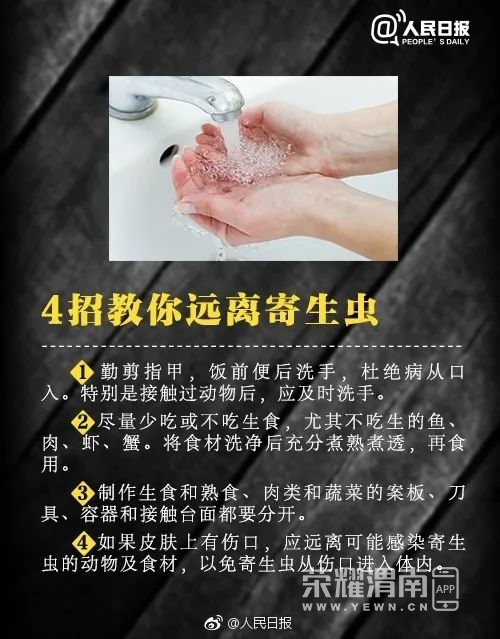 102132gdnsrn6shn68y154.jpg