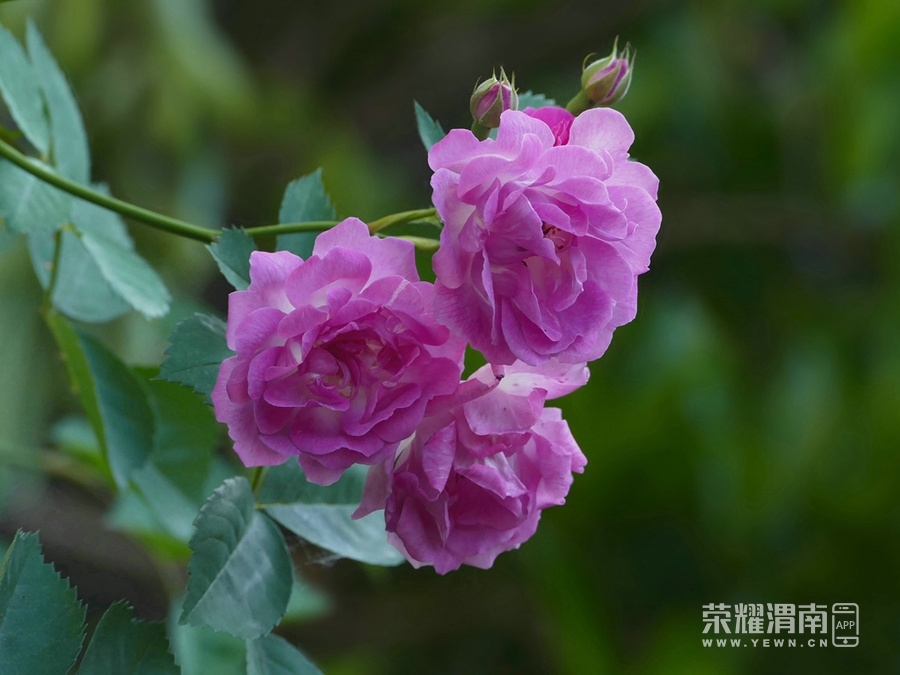front2_0_FhL-SNh29h3Kfa_EmBiBSyY7CsTa.1622286539.jpg