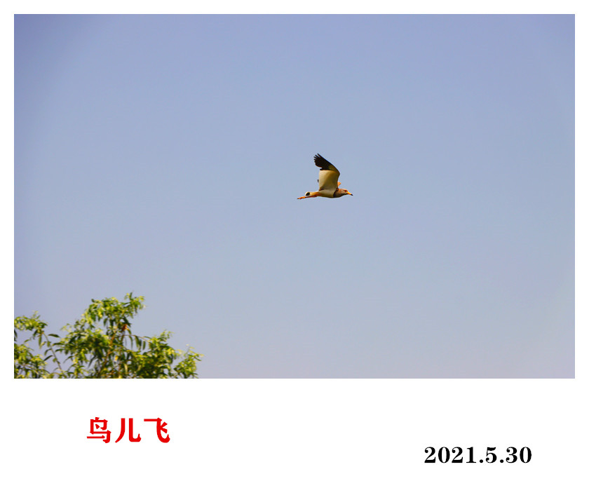 172923uvy6maz55isyl5jh.jpg
