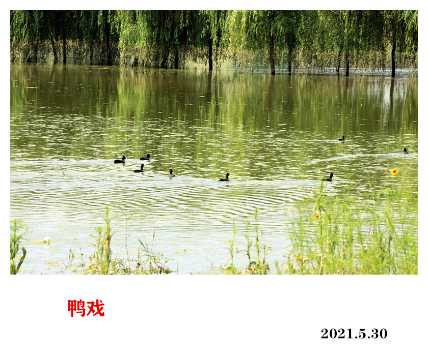 172928sr00s0f8v0f0swjj.jpg
