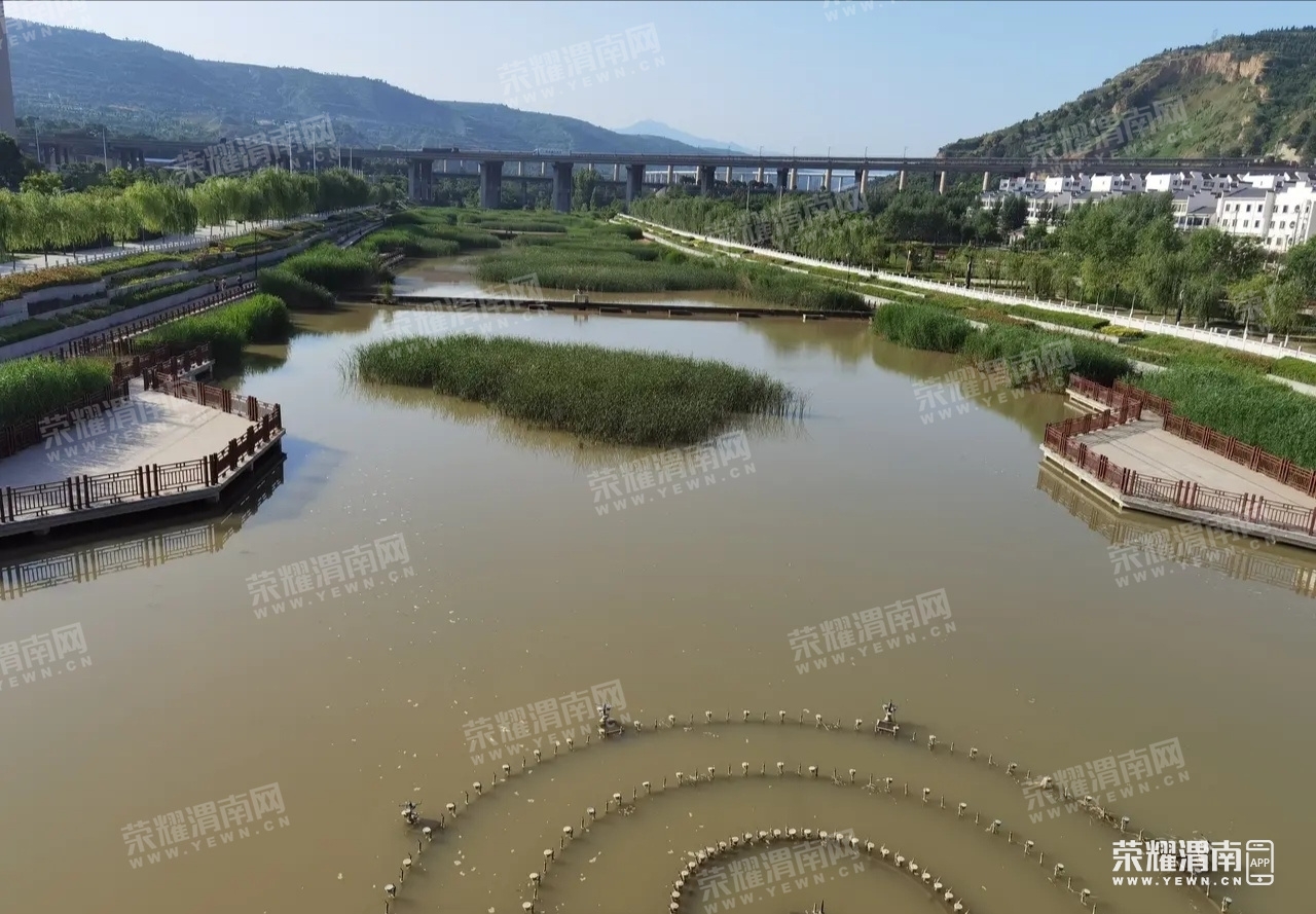 161846sp4i324fii9o2c7z (1).jpg