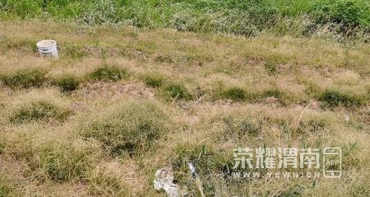 ΢�Ž�ͼ_20210621141036.jpg