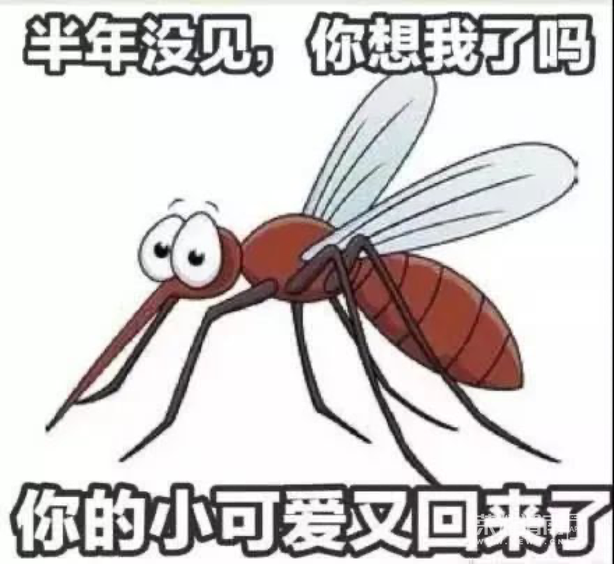 143927j06kkwzkyqiwlqkm.jpg