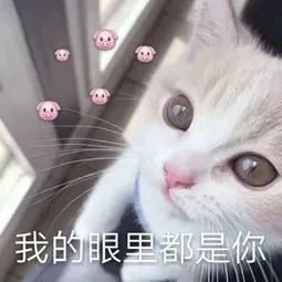 205350qz382leeye47w270.jpg