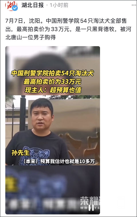 a_597384753842221060 (1).jpg